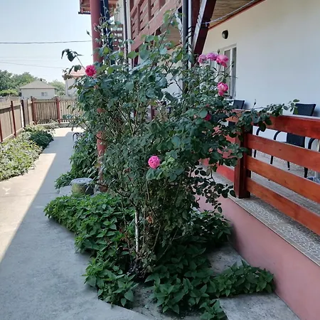 Casa Steaua De Mare Sulina